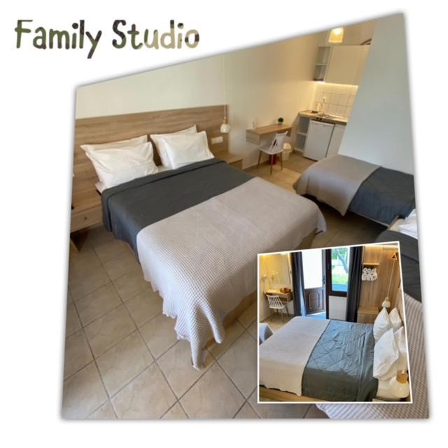 Villa Dafni Studios Thasos Extérieur photo